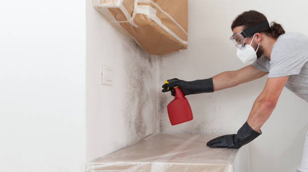 Professional Mold Cleanup technician working in Pottersdale, PA