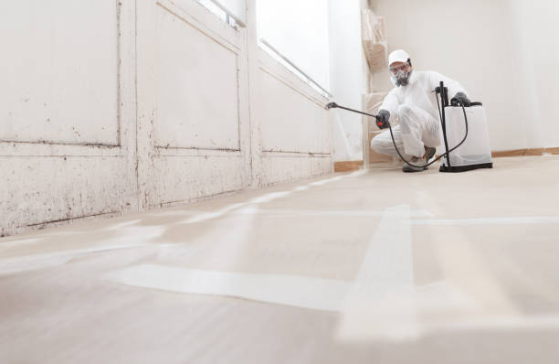 24/7 Emergency Mold Cleanup experts in Pottersdale, PA