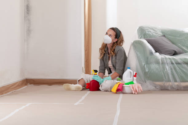 Reliable Mold Cleanup contractor in Pottersdale, PA by WQB Mold Removal