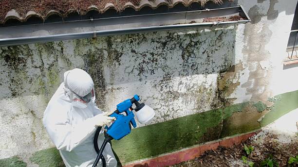 Top rated local Mold Cleanup specialists in Pottersdale, PA